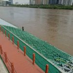 武汉市江北快速通道景观绿化工程