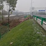 湖北省武汉市长江主轴左岸复绿工程