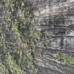 广西G75兰海高速K1711路段危岩防治工程