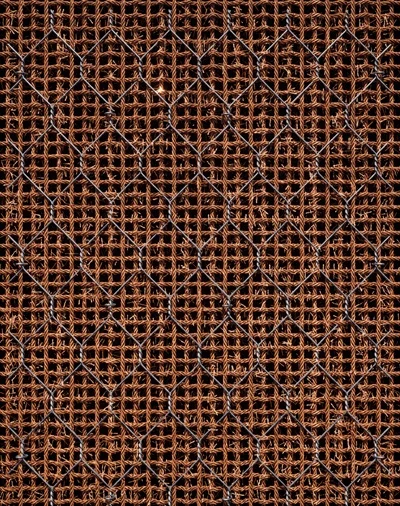 RenoMesh BIO通过提供